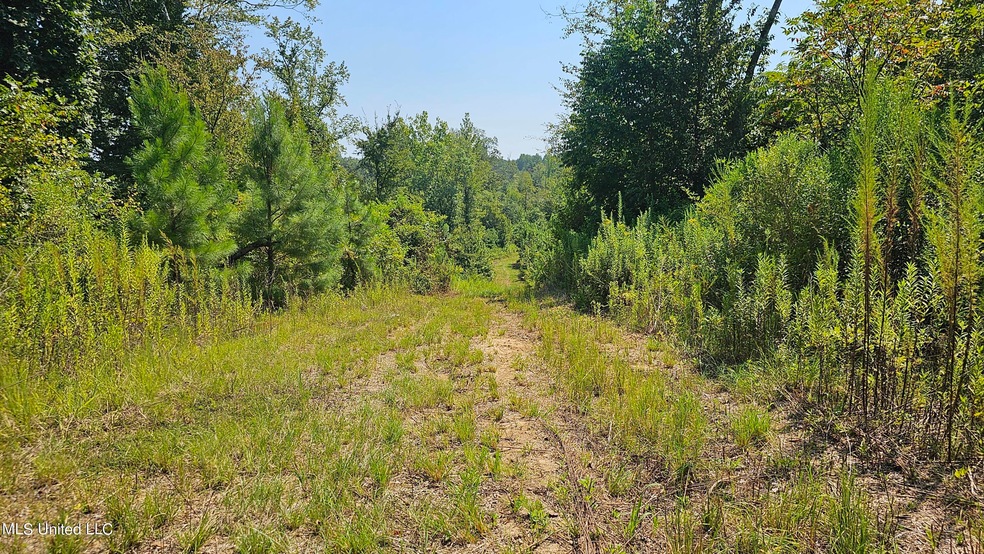 Pending $393,750 • Co-Listing Agent