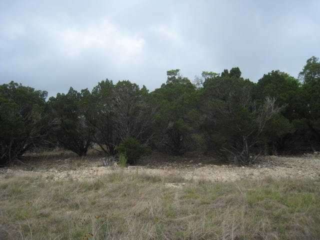 Land/Lot
