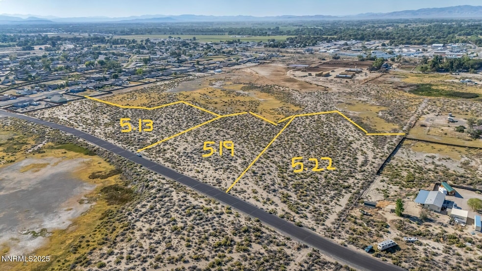 #00821198 Soda Lake Rd, Fallon, NV 89406 - photo 1