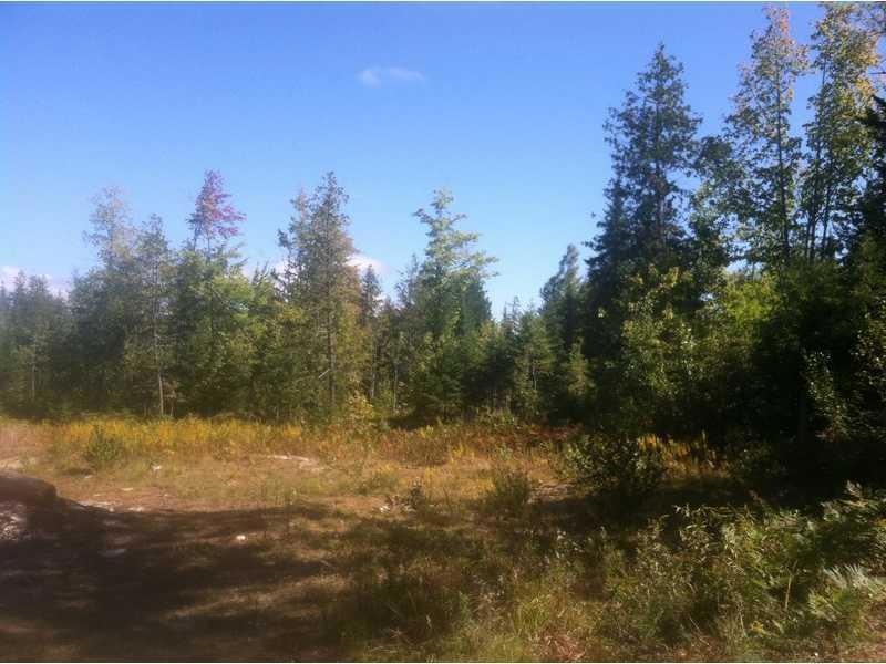 000 County Rd, Kenduskeag, ME 04450 - photo 1