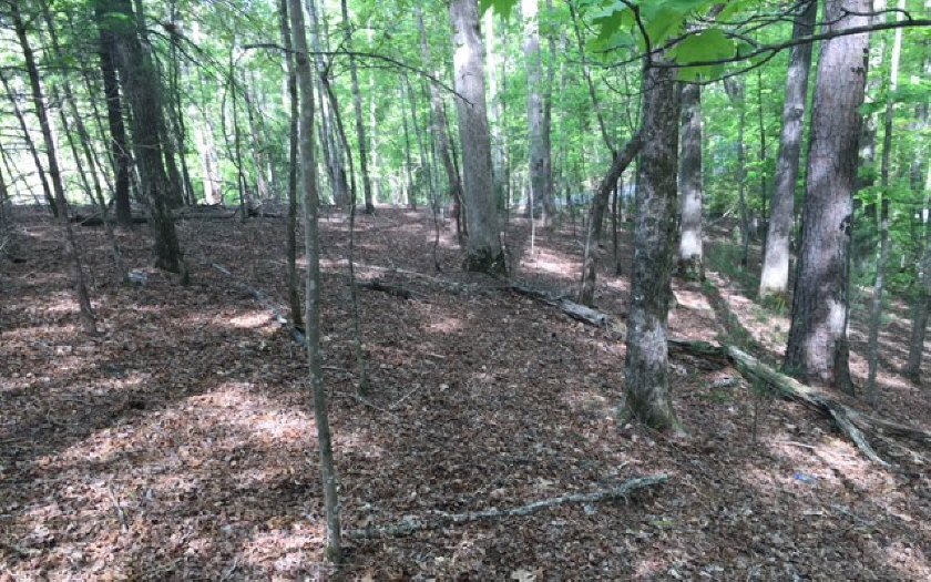 00 Citrine Ct Em 3433, Ellijay, GA 30540 - photo 1