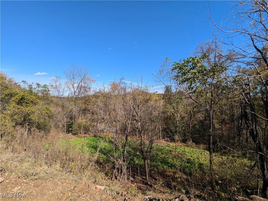 44603 Roy Bower Rd, Sardis, OH 43946 - photo 1