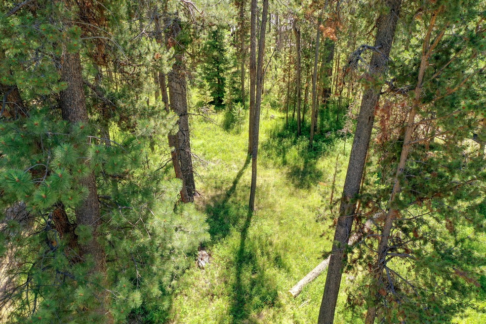 DJI_0817