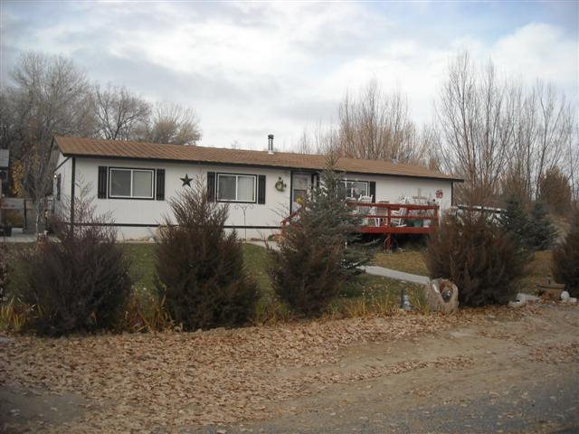 Main View