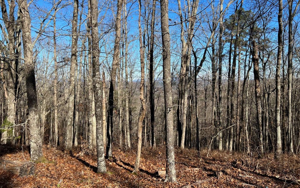 1089 Mayfield Ln NE, Ranger, GA 30734 - photo 1