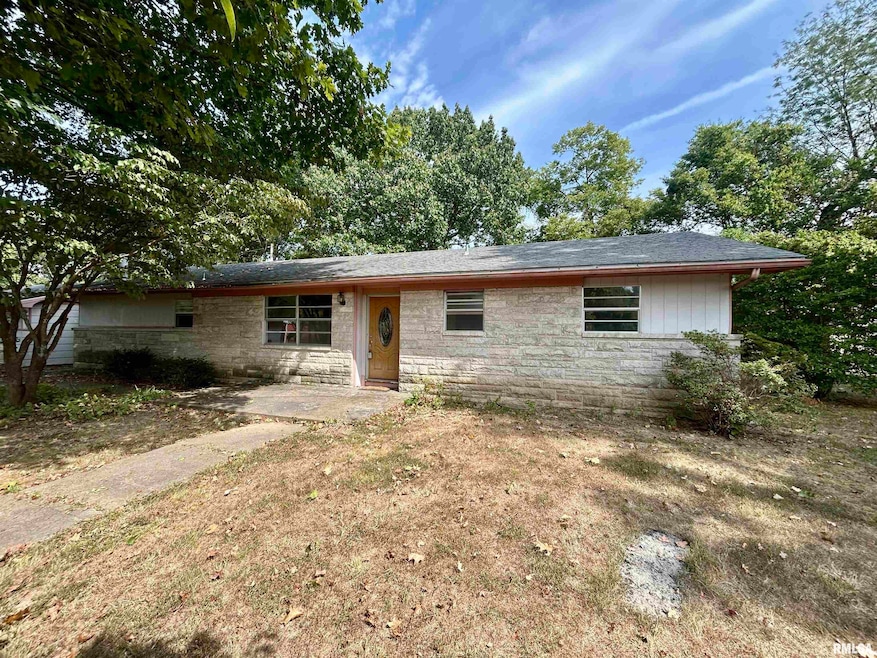 1378 Skelcher Blvd, Makanda, IL 62958 - photo 1