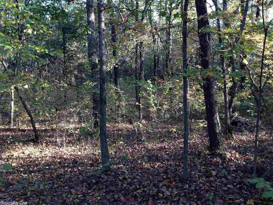Lot 2 Greene Road 715, Poland Township, AR 72450 - photo 1
