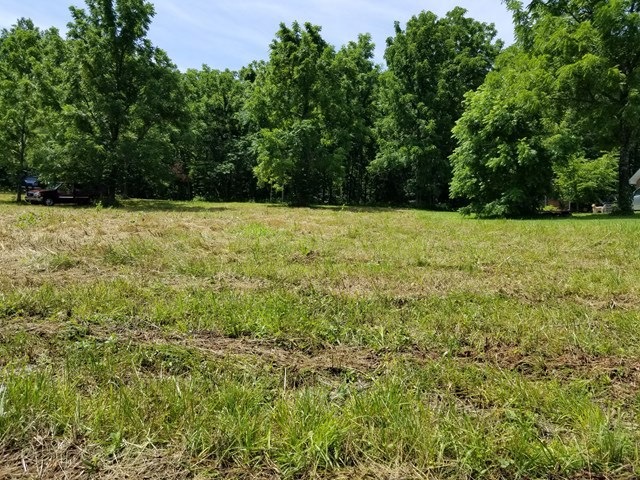 2030 Bear Creek Point, Cookeville, TN 38506 - photo 1