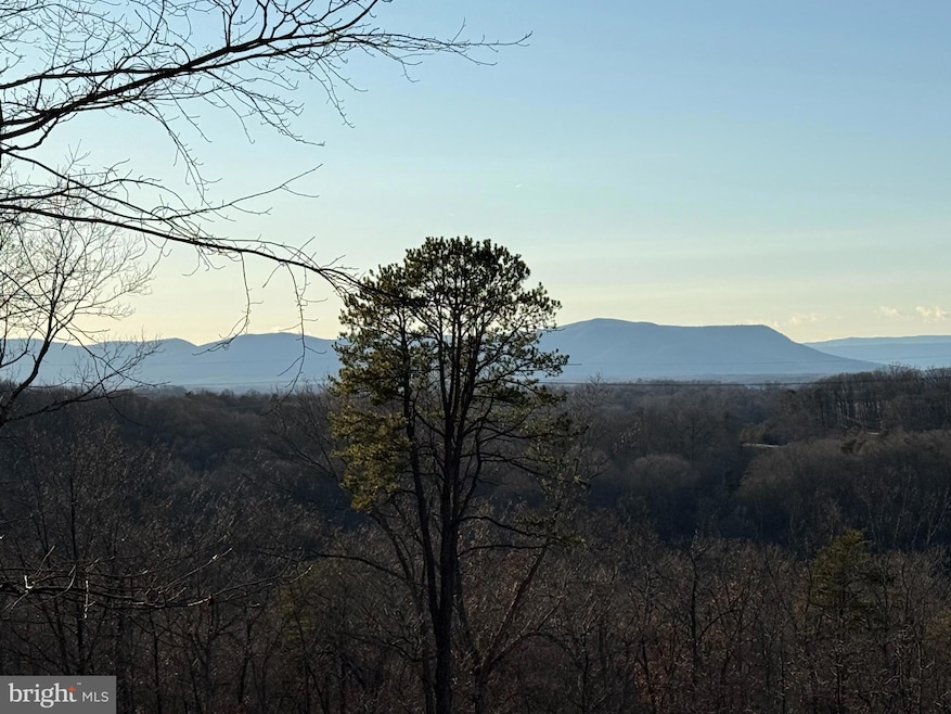 Lot 59,60 & 61 Baldwin Rd, Front Royal, VA 22630 - photo 1