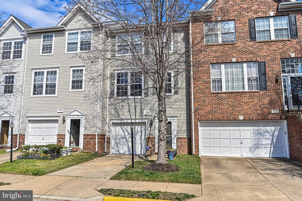 21534 Iredell Terrace, Broadlands, VA 20148 - photo 1