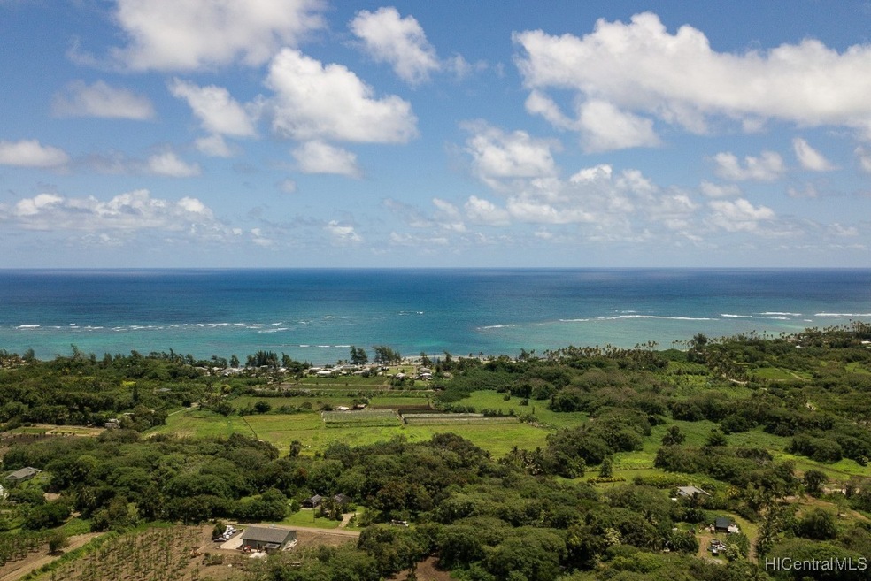 Ocean views from the top of the property.