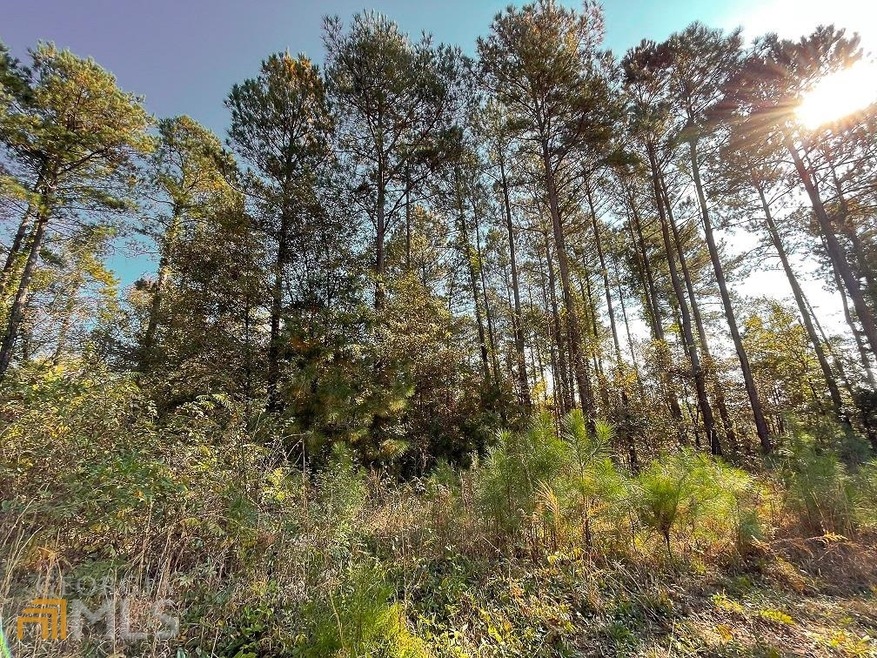 0 Gregg Shoals unit 20001685, Elberton, GA 30635 - photo 1