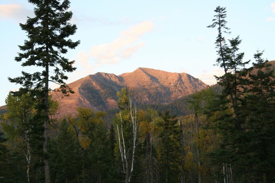 Photos 017