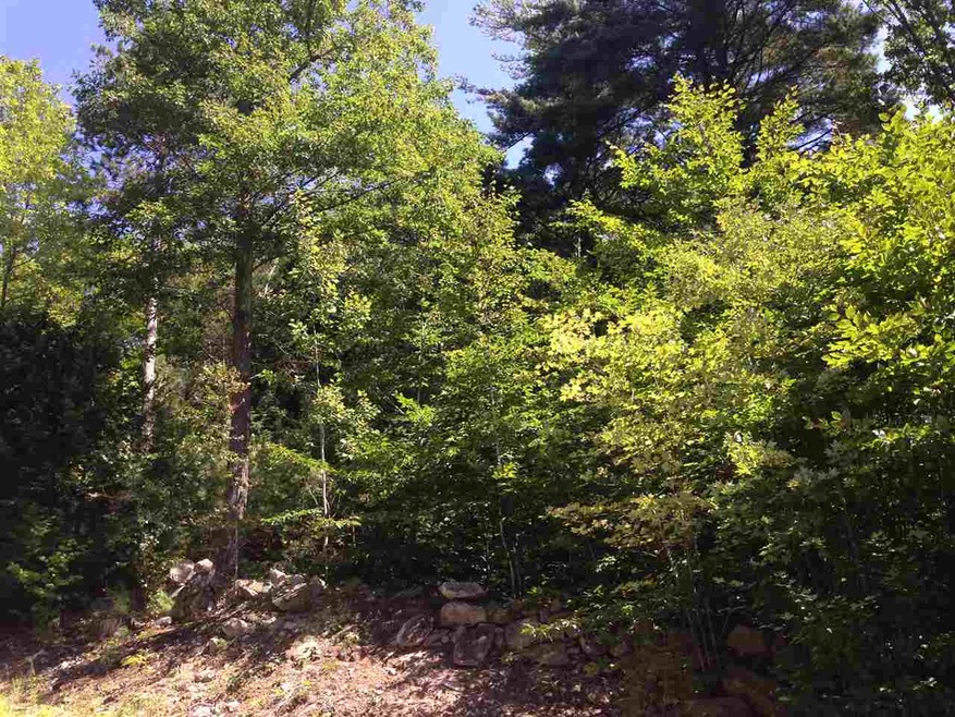 Lot 32 Copplecrown, New Durham, NH 03855 - photo 1