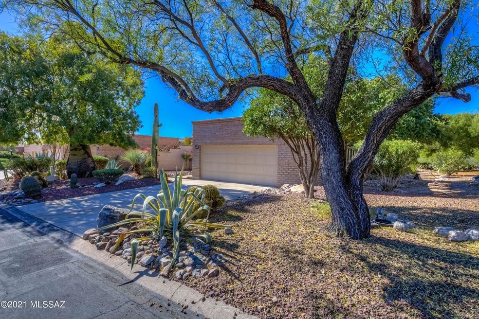 Mature Trees and Shrubs
