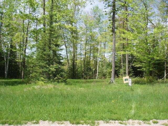 Lot 3 White Buck Ln, Lake, WI 54114 - photo 1