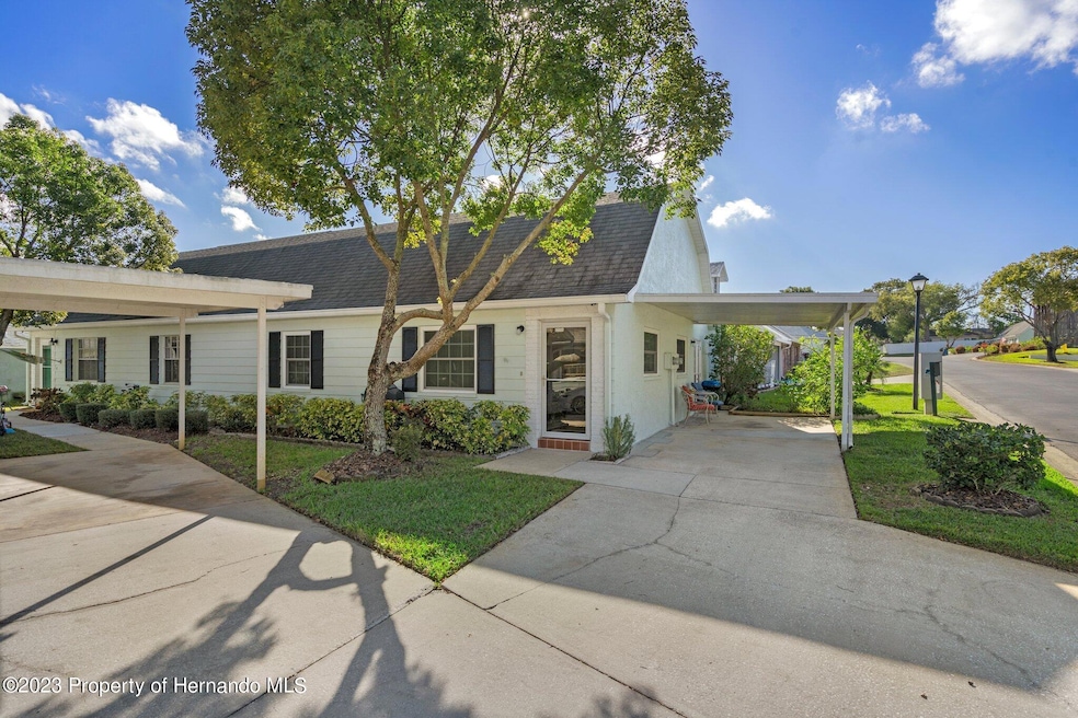 2-web-or-mls-DSC03905