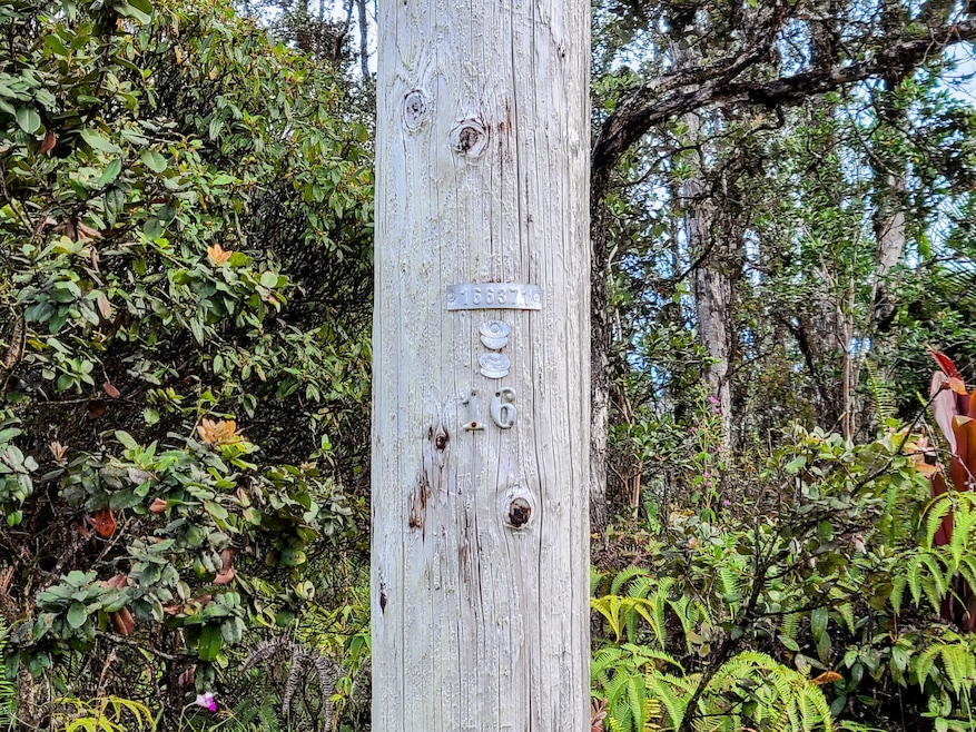 Nearest power pole. Pole #16
