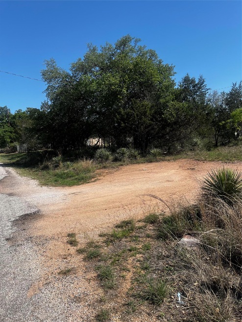 View of local wilderness