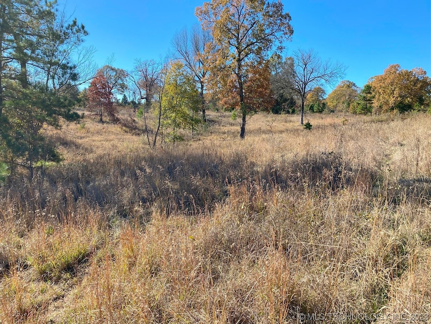 00 E 1960 Rd, Antlers, OK 74523 MLS 2343066