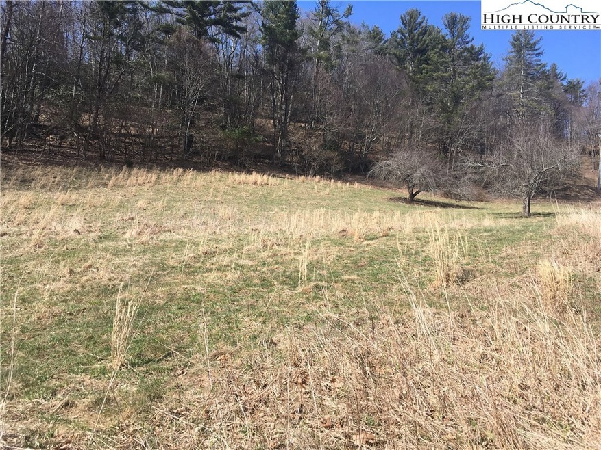 View from Jennifer, property line on right side of photo