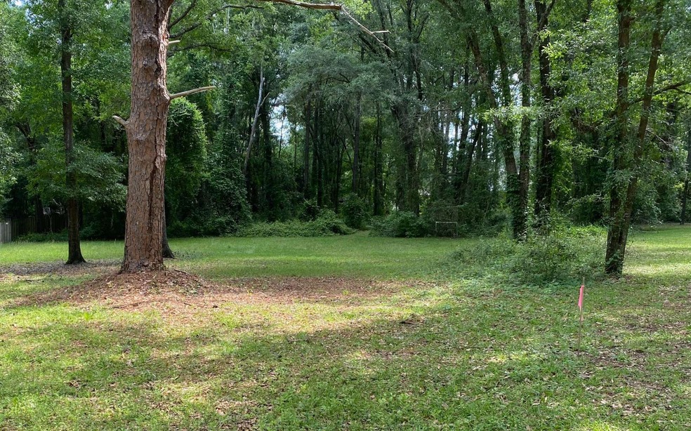 TBD Lake Valley Terrace, Lake City, FL 32055 - photo 1