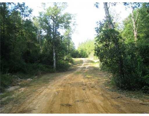 0 Barton Agricola Rd unit 3231818, Lucedale, MS 39452 - photo 1