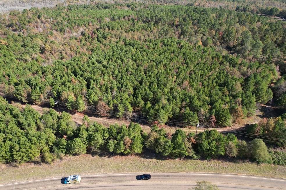 Tbd Fm 1650, Gilmer, TX 75645 - photo 1