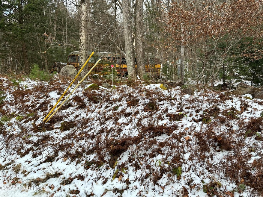 L15 S Shore Rd, Hadley, NY 12835 - photo 1