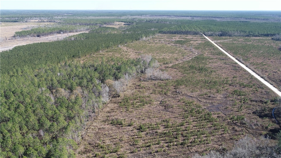 1554 Flowers Break Rd, Jesup, GA 31546 - photo 1