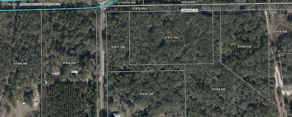 00 Pharo Morgan Rd, Perry, FL 32347 - photo 1