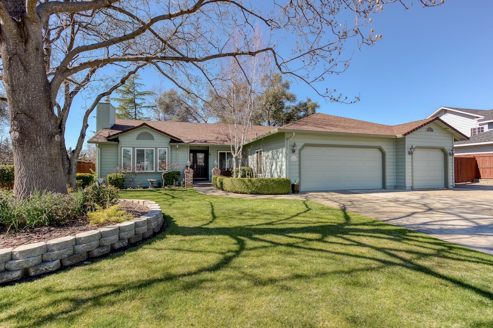 4684 Dandelion