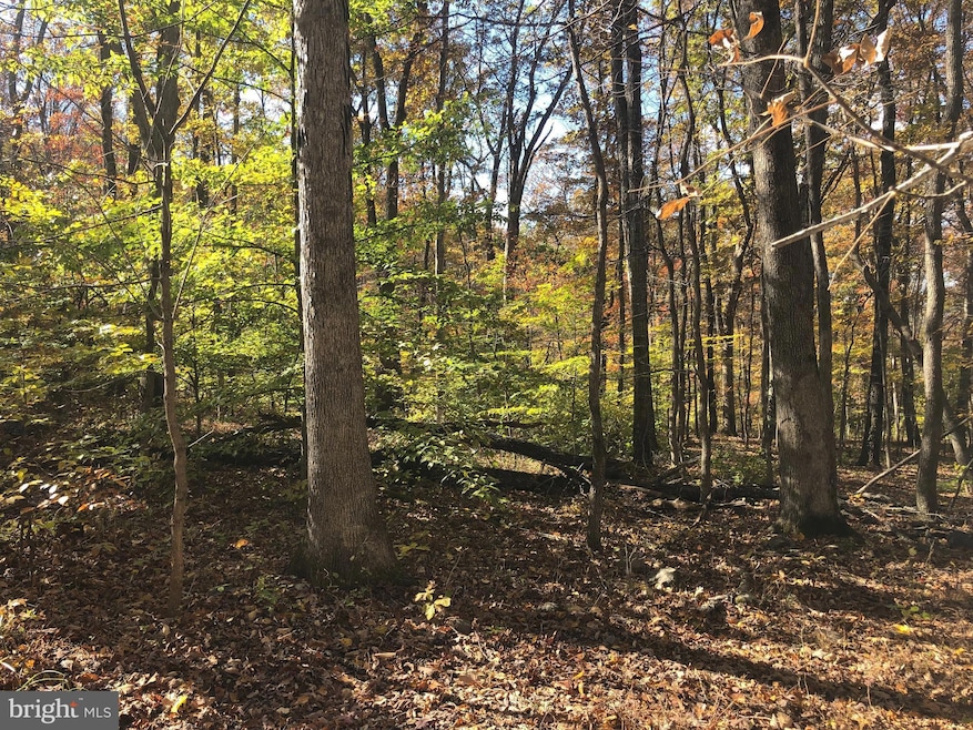 0 Cliff Ln, Bluemont, VA 20135 - photo 1