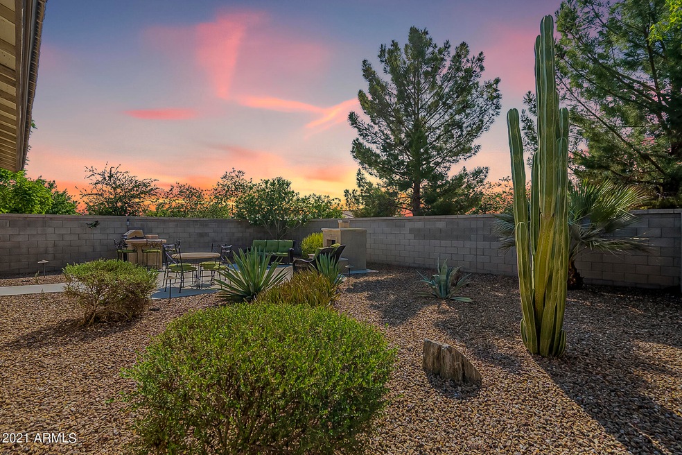 41420 Cherry St, San Tan Valley, AZ 85140 - photo 1