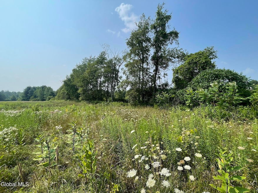 1569 Division St, Charlton, NY 12010 - photo 1