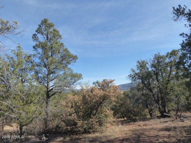 1 View thru tree tops from knoll for bld