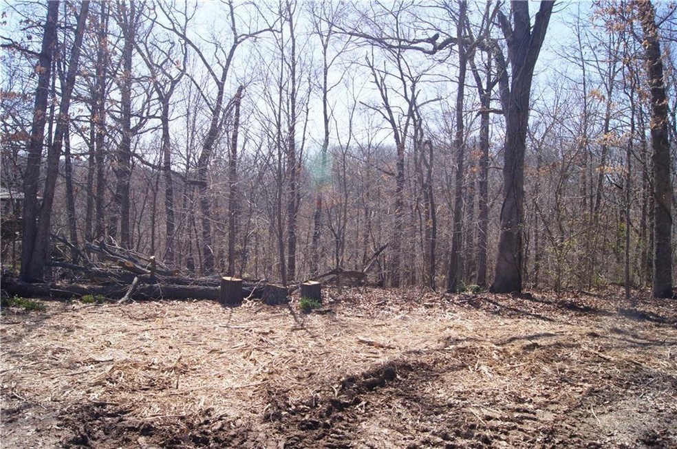 0 Chapel Ln, Bella Vista, AR 72715 - photo 1