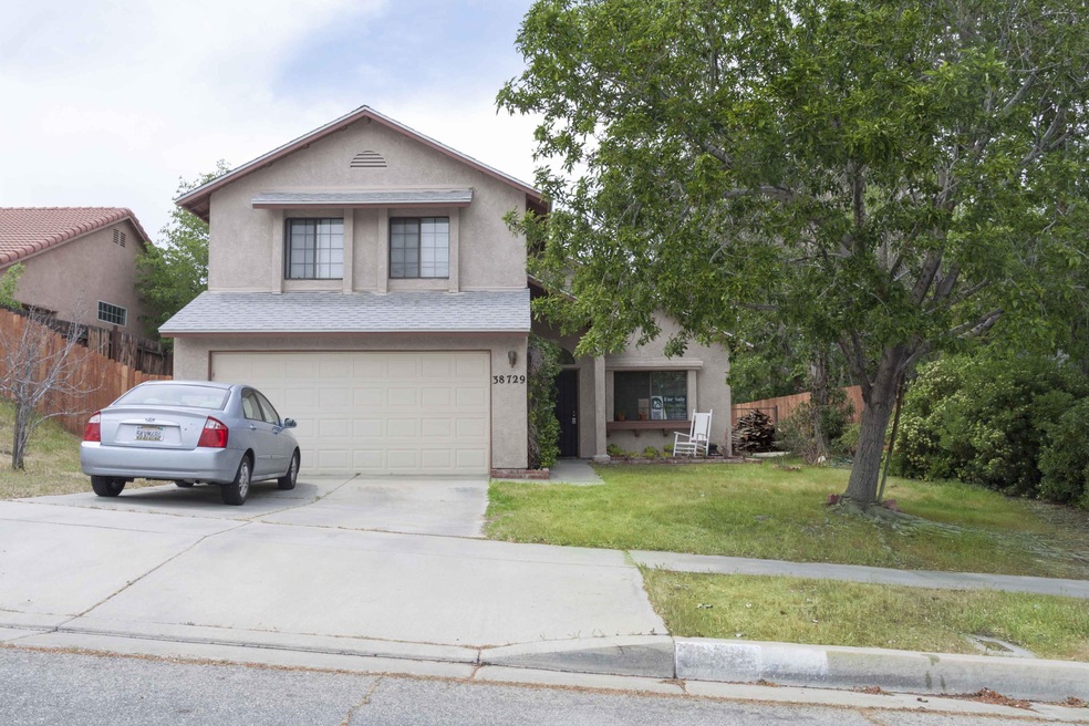 38729 Juniper Tree (1 of 34)