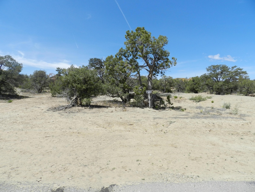 6601 Big Cedar Ave, Farmington, NM 87402 - photo 1