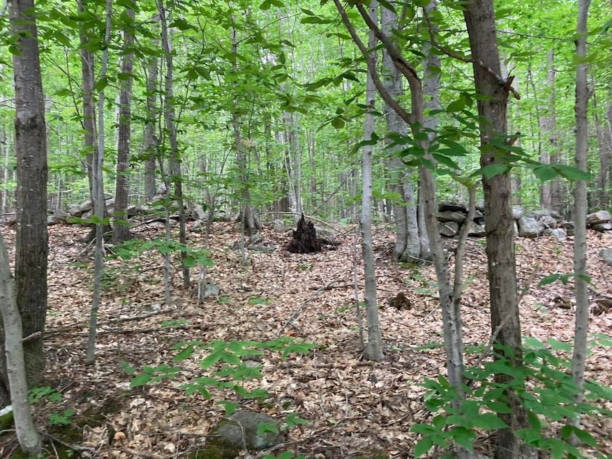 M4 L9-7 Rosenberg Rd, Sumner, ME 04292 - photo 1