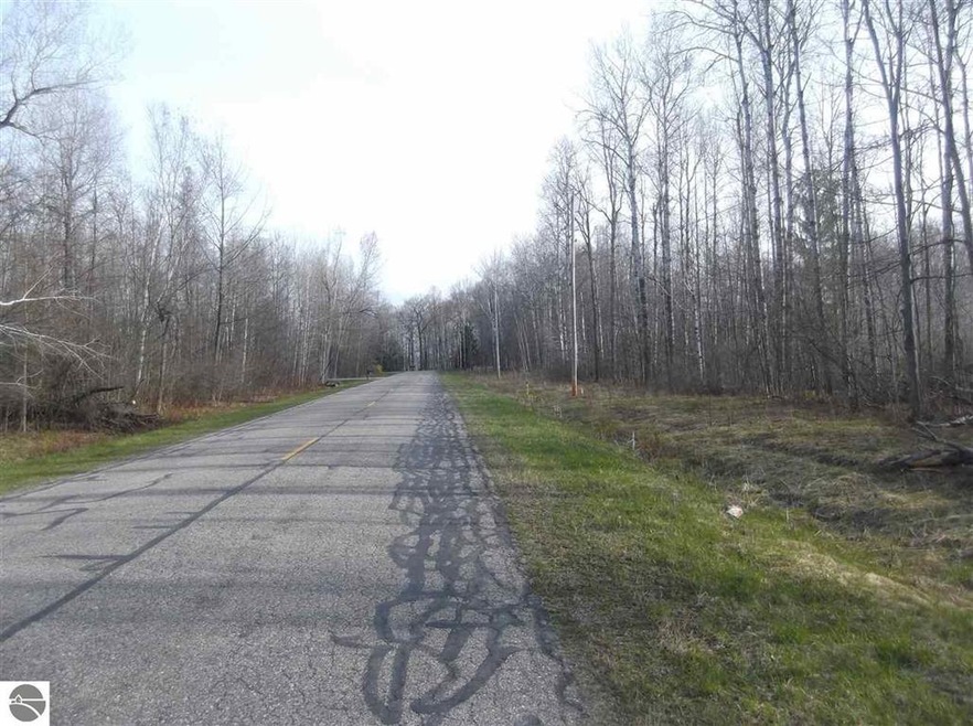 #10 Putnam Rd, Hale, MI 48739 - photo 1