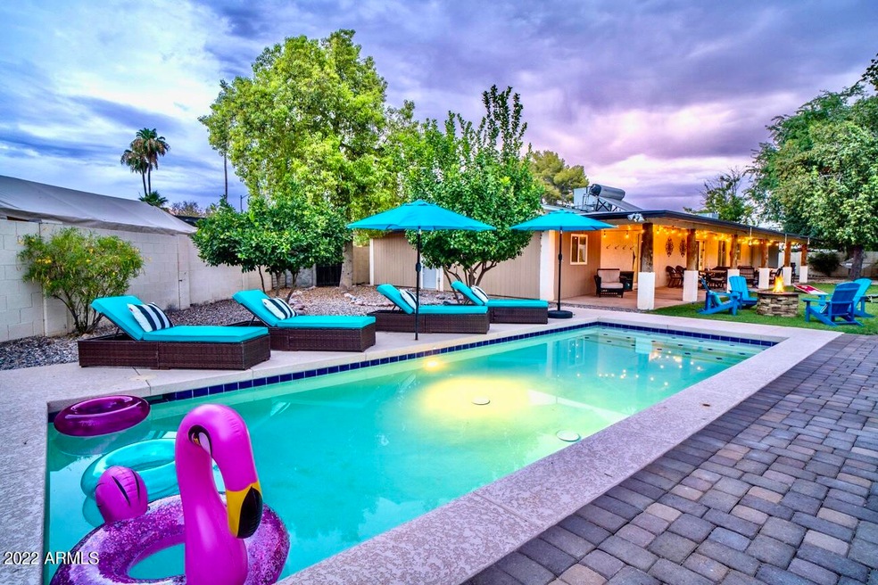chaise loungers hammock pool toys