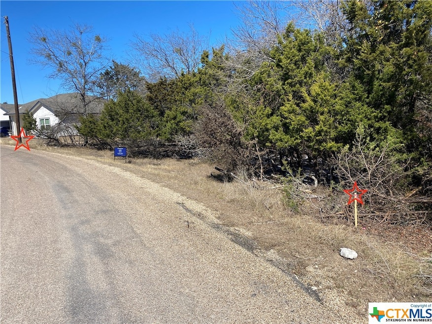 15896 Salado Dr, Temple, TX 76502 - photo 1