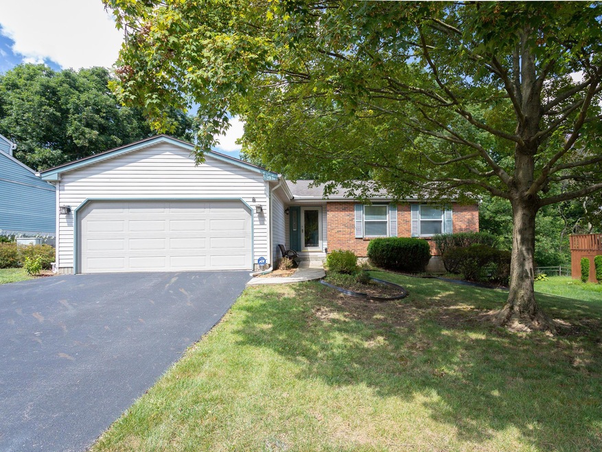254 Camrose Ct Columbus-1