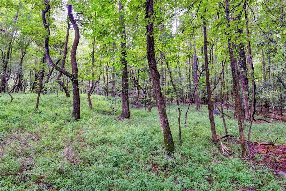 200 Jolly Pond Rd, Williamsburg, VA 23188 - photo 1