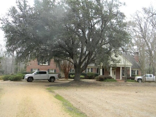 Main View