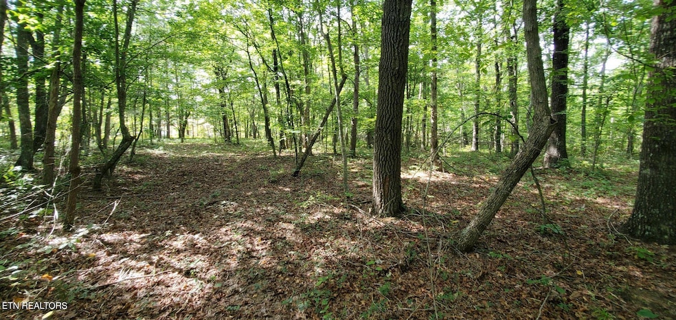 0 Divide Tr unit 1290281, Monterey, TN 38574 - photo 1