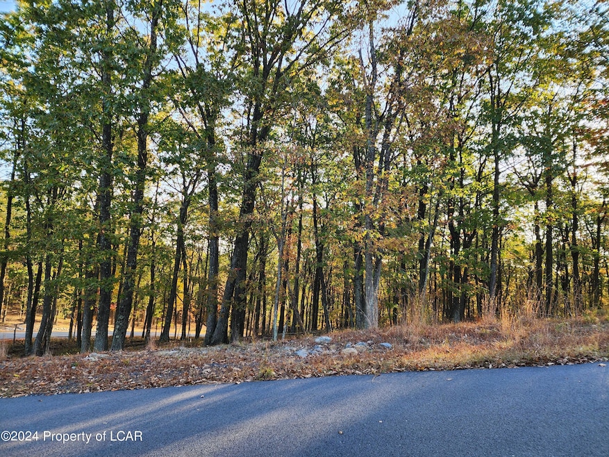 HF3 430 Big Spring Rd, East Union Township, PA 18202 - photo 1