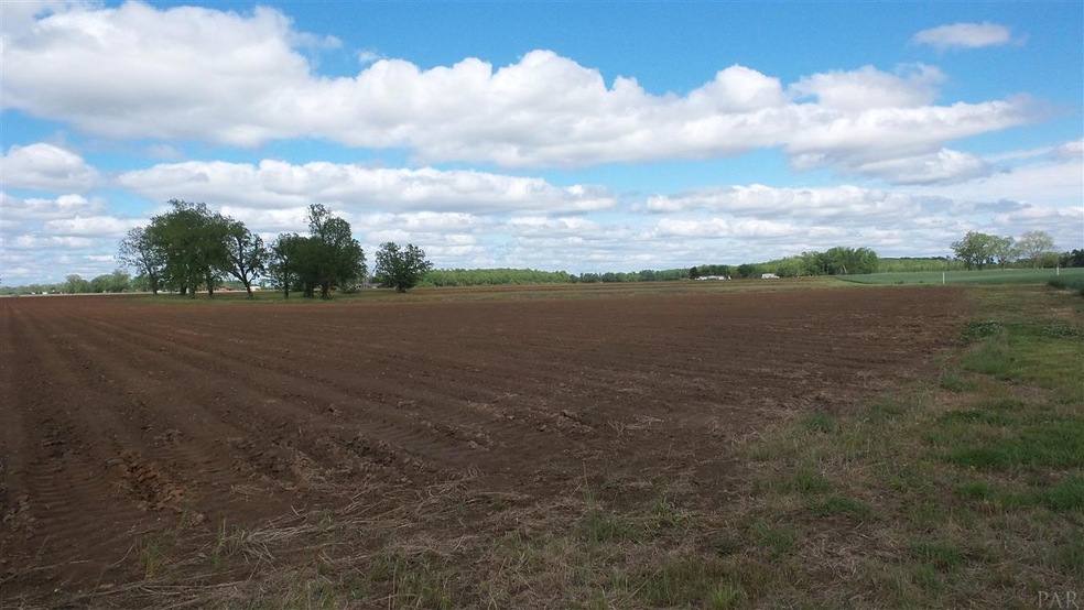 0 Carver Ave unit 517298, Atmore, AL 36502 - photo 1