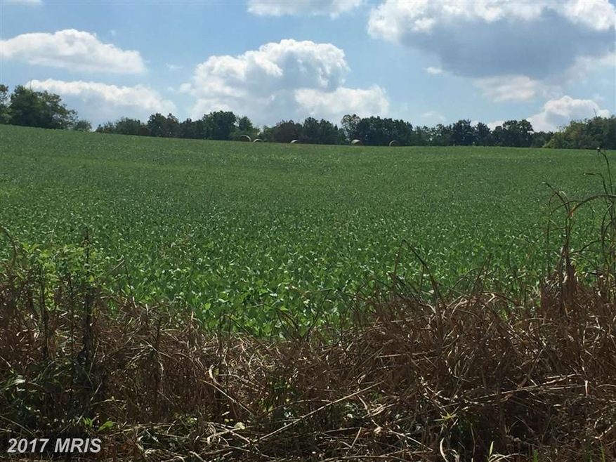 0 Dean Rd unit 1002718422, Toms Brook, VA 22660 - photo 1